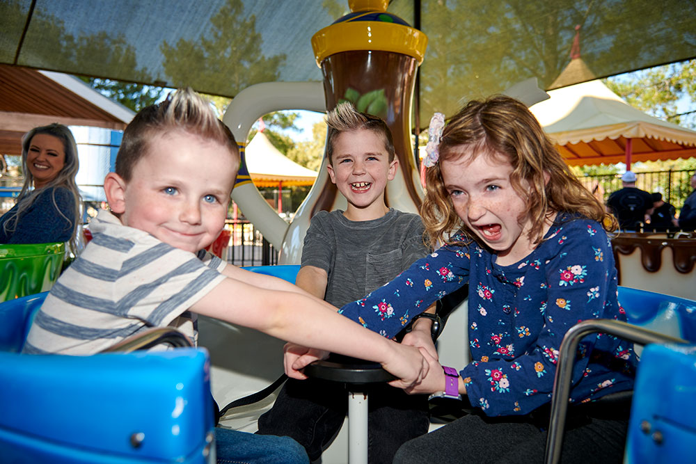 Funagain ディスプレイカート Amazon.com: Nextorage 256GB SDXC UHS-II V90 SD Card Japanese Brand